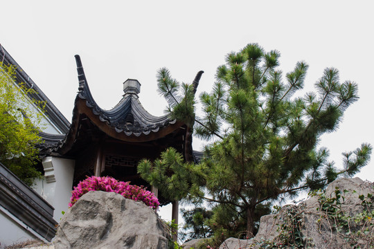 古建筑園林景觀