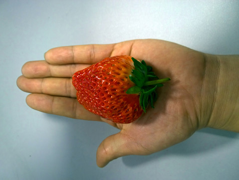 大草莓