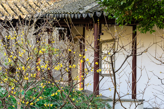 瞻園園林建筑景觀