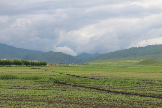 田野 沃土