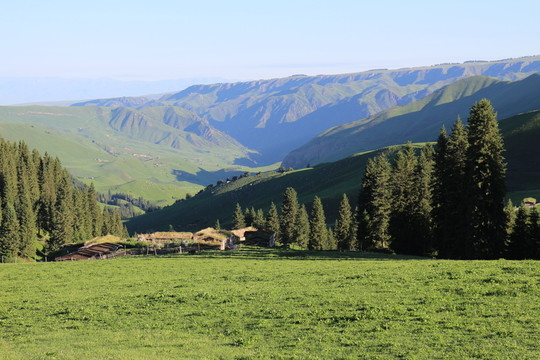 陽光下的綠色山坡
