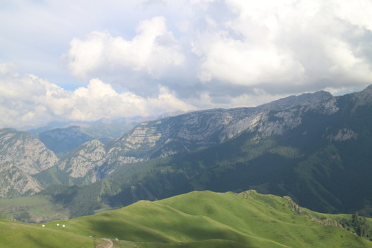 伊犁山谷美景
