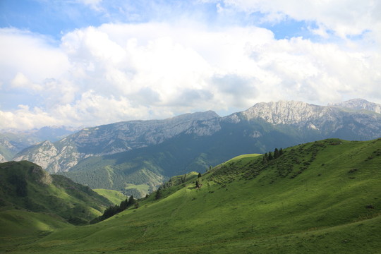 伊犁山谷美景