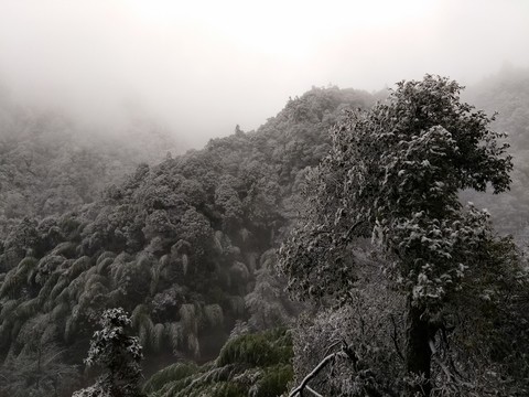 霧