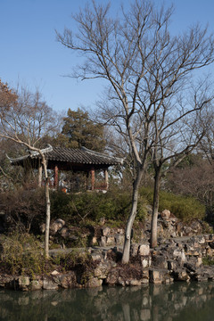 拙政園