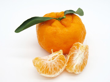 丑橘
