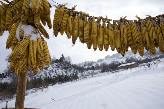 雪鄉(xiāng)
