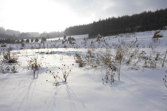 雪鄉(xiāng)