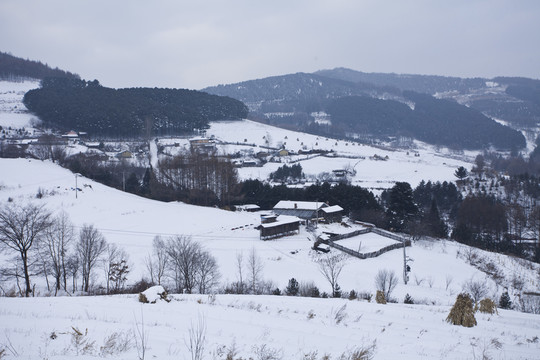 雪鄉(xiāng)