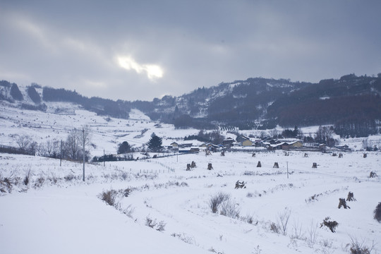 雪鄉(xiāng)