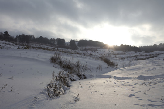 雪鄉(xiāng)