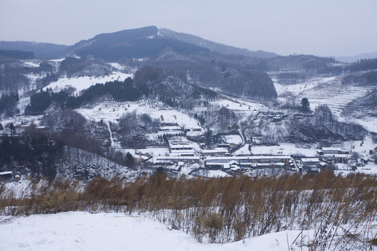 雪鄉(xiāng)