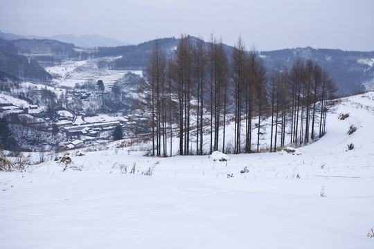 雪鄉(xiāng)