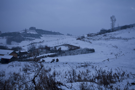 雪鄉(xiāng)