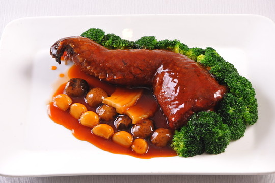 鱷魚掌