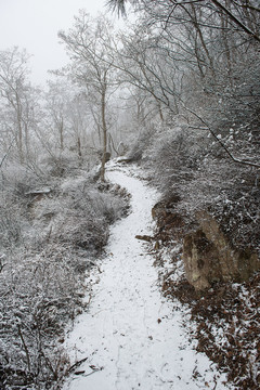 雪