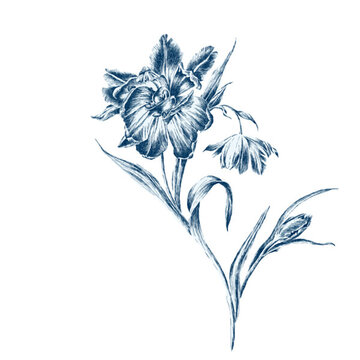 線描花卉 分層
