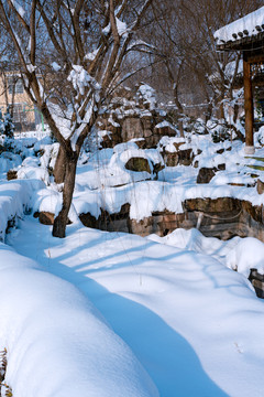 雪地