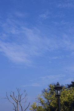 藍(lán)天白云
