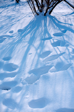 雪地