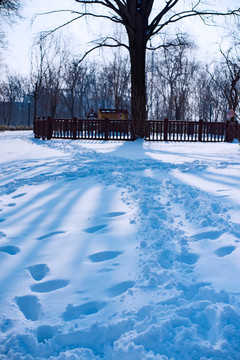 雪地