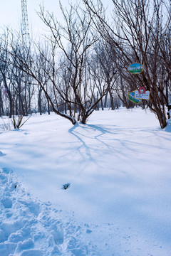 雪地