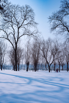 雪景