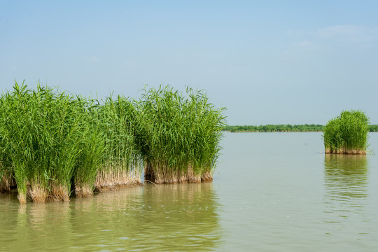 寧夏銀川沙湖