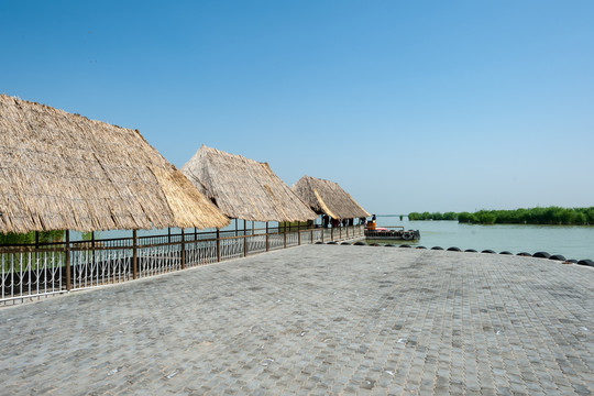寧夏銀川沙湖