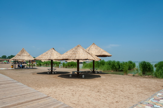 寧夏銀川沙湖