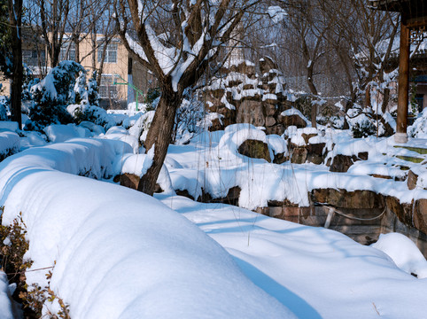 雪景