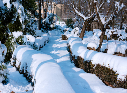 雪景