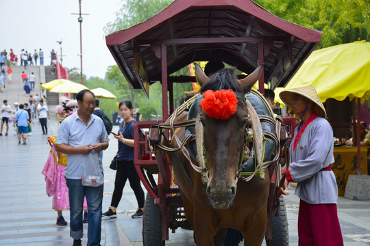 清明上河園觀光馬車