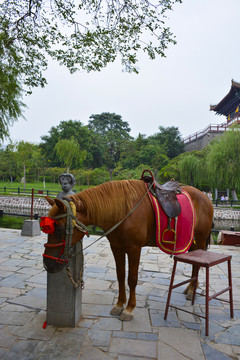 馬