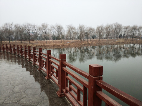 公園雨霧中的橋