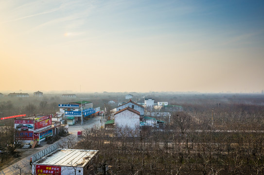 萬畝梨園