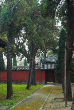 孔林