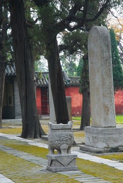孔林