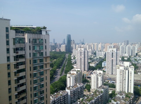 深圳樓群
