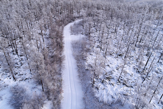 林海雪原山路 航拍