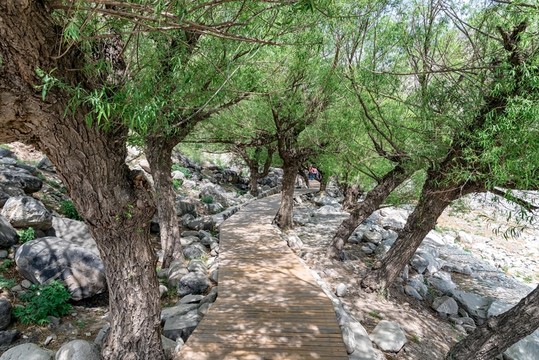 寧夏賀蘭山