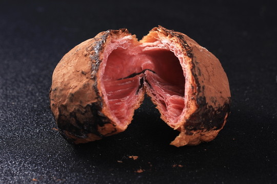 臟臟包食材