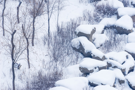 雪景