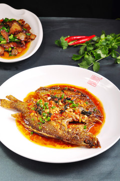 臭桂魚
