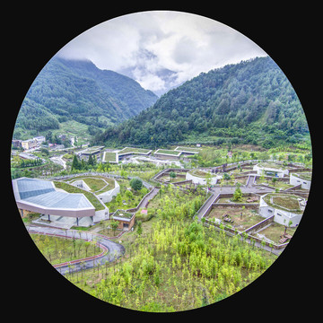 臥龍大熊貓基地