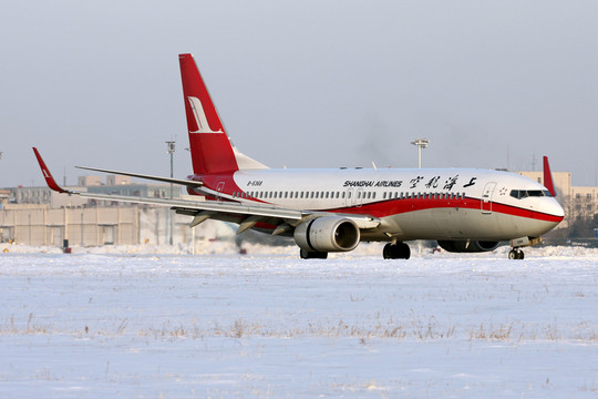冬天 雪地 機場 飛機