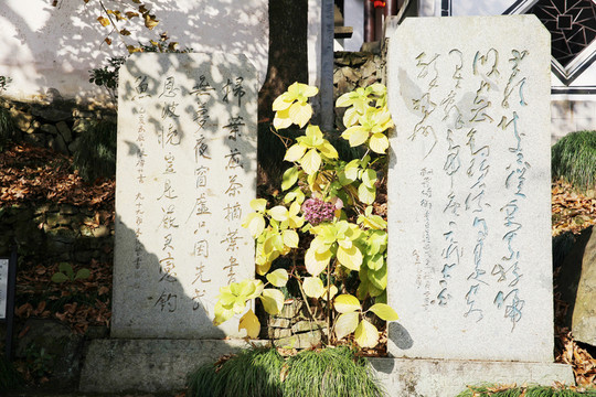 嚴子陵釣臺碑園石碑