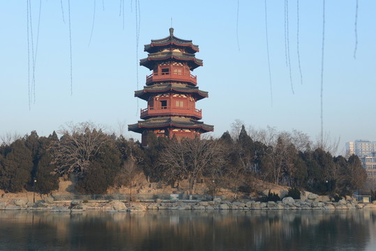 公園