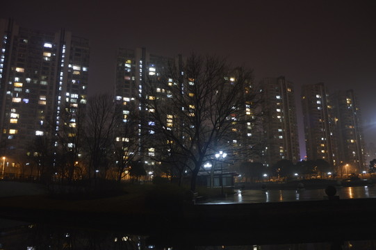 雨夜湖邊城市夜景