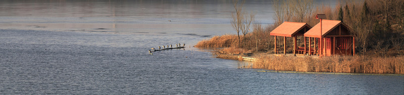 馬踏湖濕地公園